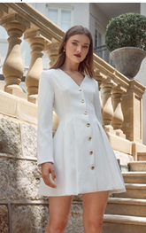 THE VIENNA BUTTON MINI DRESS